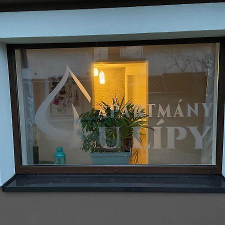 Apartmany U Lipy Tatobity Экстерьер фото