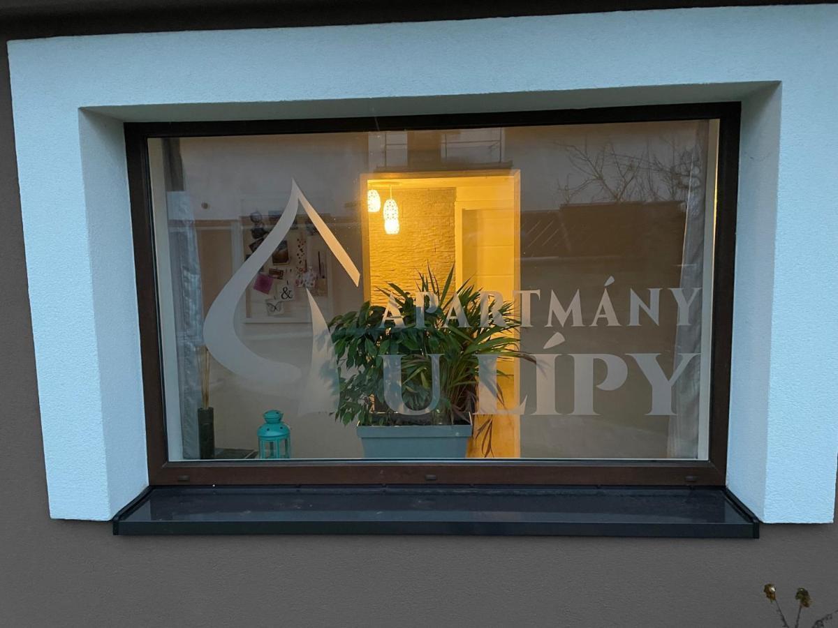 Apartmany U Lipy Tatobity Экстерьер фото